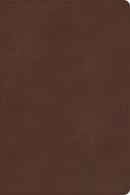 CSB Rainbow Study Bible-Brown LeatherTouch Indexed