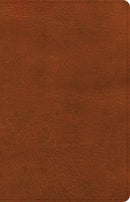 NASB 2020 Large Print Thinline Bible-Burnt Sienna LeatherTouch