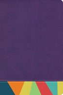 Span-RVR 1960 Rainbow Study Bible (Biblia de Estudio Acro Iris)-Purple/Multicolor Imitation Leather