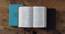 ESV Large Print Compact Bible-Black TruTone