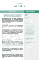 Lucado Bemoedigende Woordbijbel, Grijs