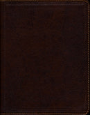 Journal het Woord Bijbel