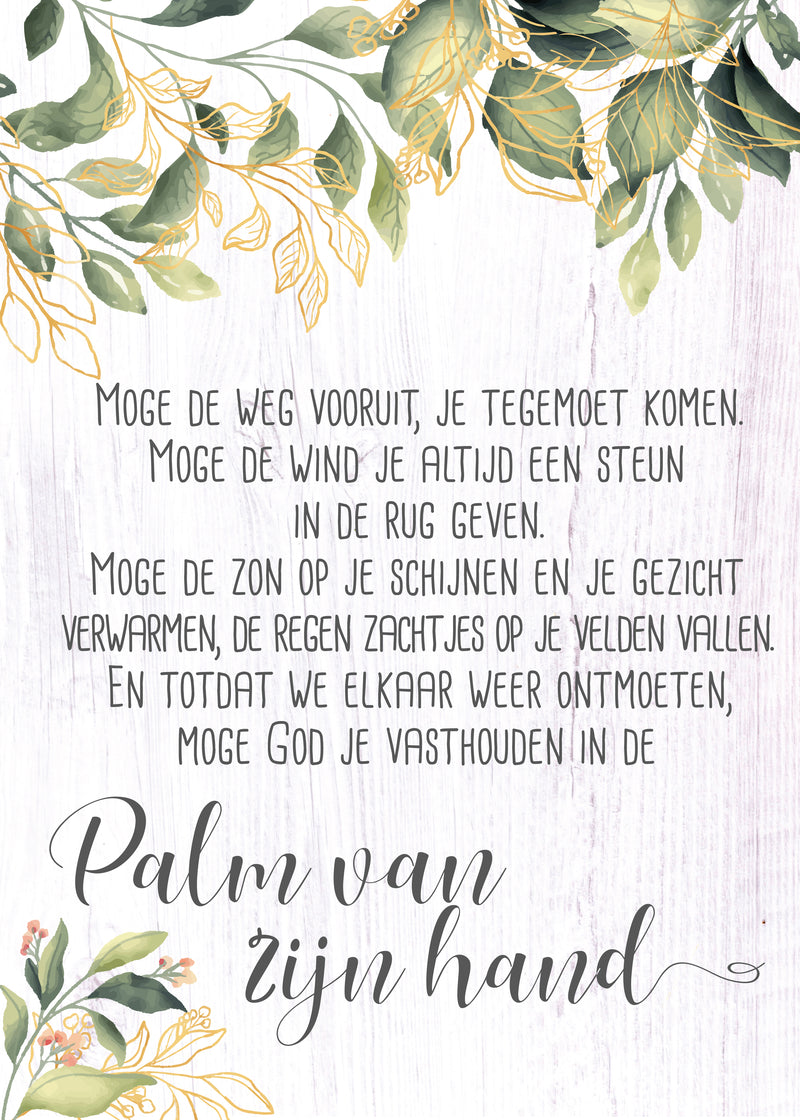 Palm van zijn hand