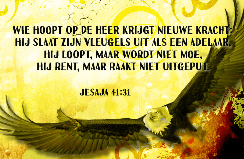 Wie hoopt op de Heer Jesaja 40:31