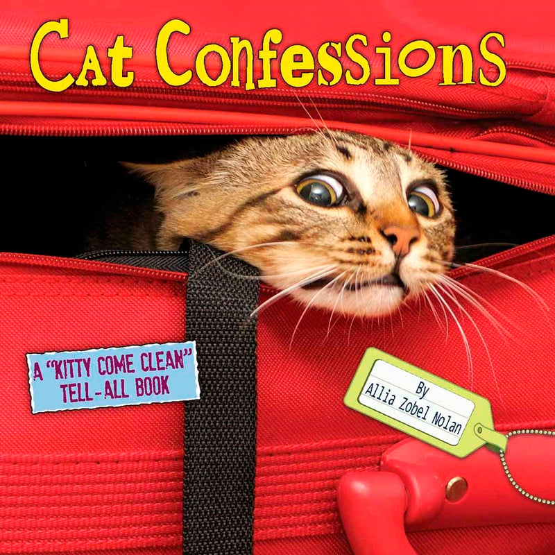 Cat Confessions