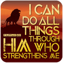 Ik kan alles doen wat met achtbanen te maken heeft