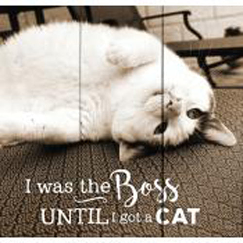 I was the boss until I got a cat