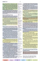 KJV Regenboog Studiebijbel - Hardcover