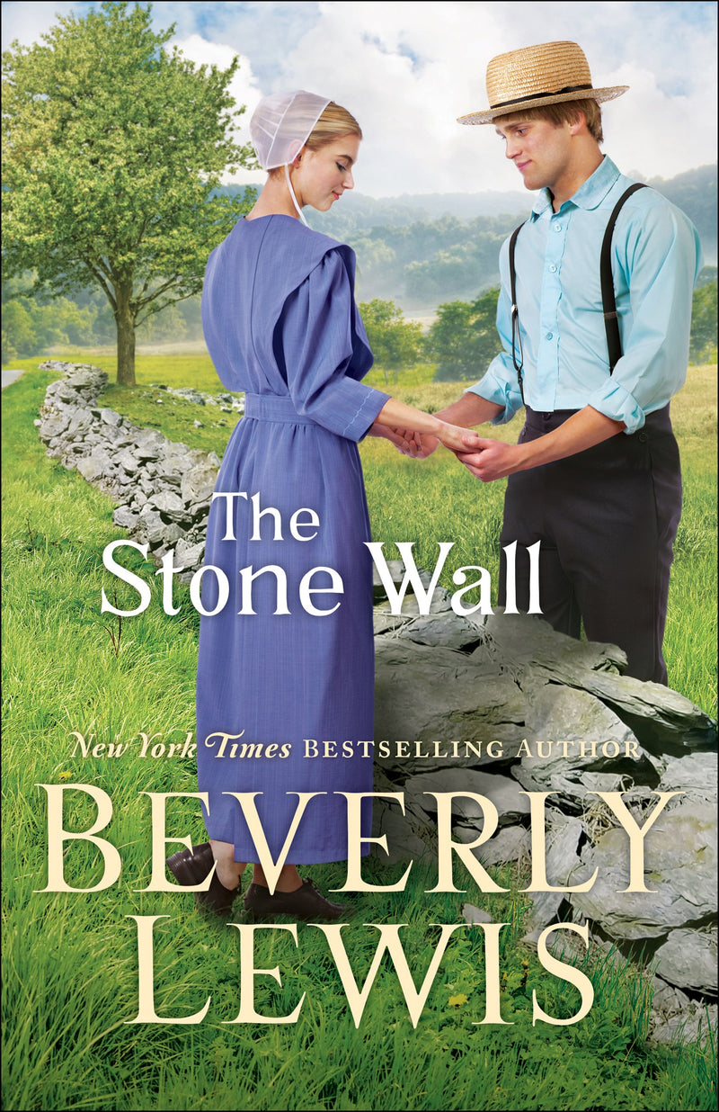 The Stone Wall-Hardcover