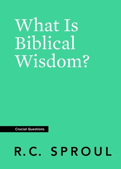 What Is Biblical Wisdom? (Crucial Questions)