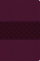 CSB Everyday Study Bible-Wine Burnished Design LeatherTouch