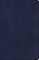 CSB Rainbow Study Bible-Navy LeatherTouch Indexed