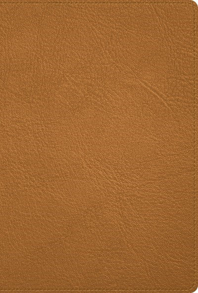 Span-RVR 1960 Deluxe Bible (Holman Handcrafted Collection) (Biblia Deluxe)-Caramel Premium Goatskin