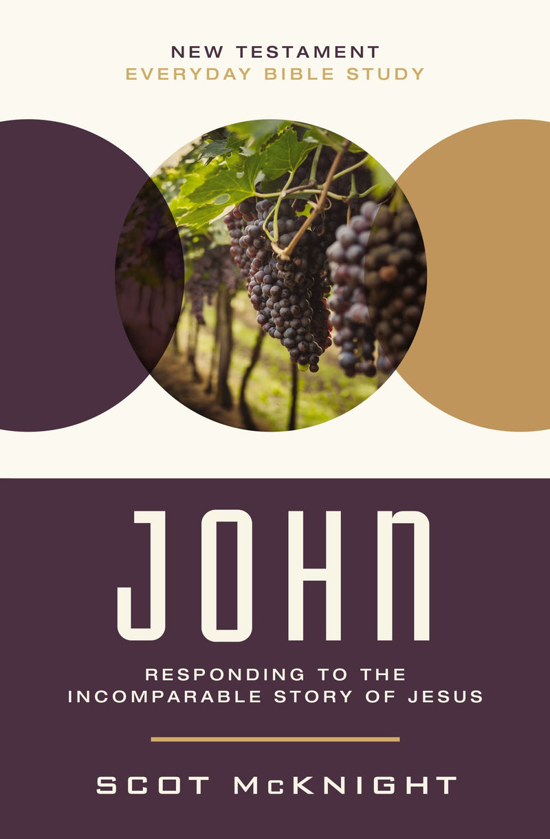 John (New Testament Everyday Bible Study Series)