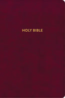 KJV Rainbow Study Bible-Burgundy LeatherTouch