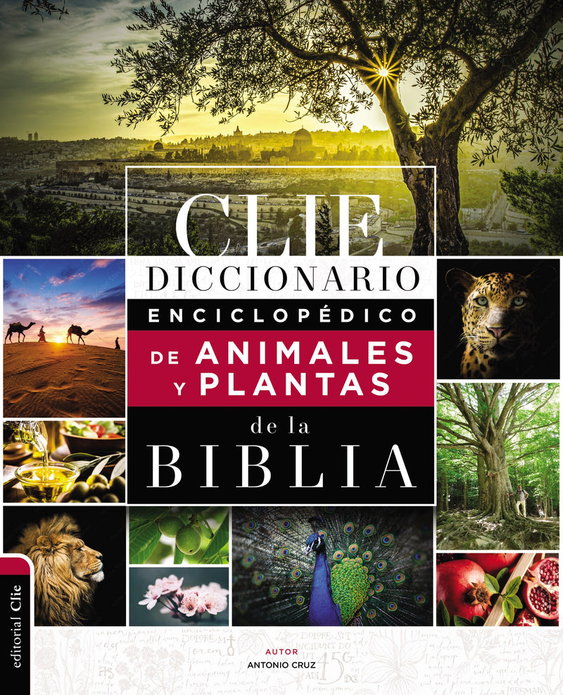 Span-Encyclopedic Dictionary Of Animals & Plants From Bib (Diccionario Enciclopedico de Animales y Plantas de la Biblia)