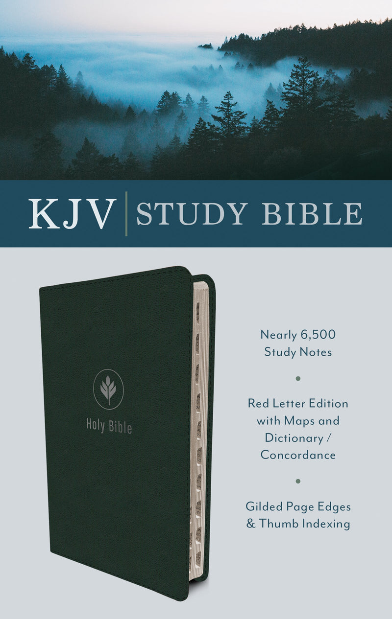 KJV Study Bible-Evergreen Fog DiCarta Indexed