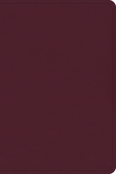 CSB Large Print Compact Reference Bible-Cranberry Leathertouch