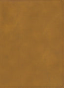 Span-RVR 1960 Holy Land Illustrated Bible (Biblia Ilustrada de la Tierra Santa)-Coffee LeatherTouch