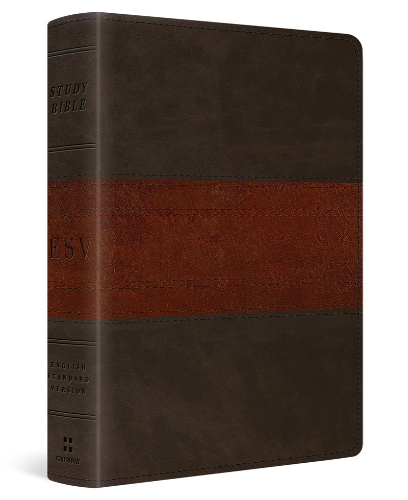 ESV Study Bible/Personal Size-Forest/Tan Trail Design TruTone