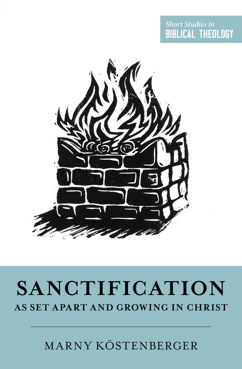 Sanctification As Set Apart And Growing In Christ (Short Studies In Biblical Theology)