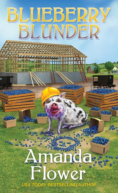 Blueberry Blunder (An Amish Candy Shop Mystery