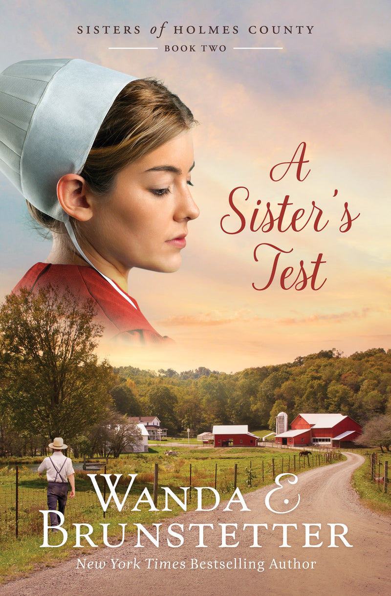 A Sister's Test (Sisters Of Holme Country Book 2)