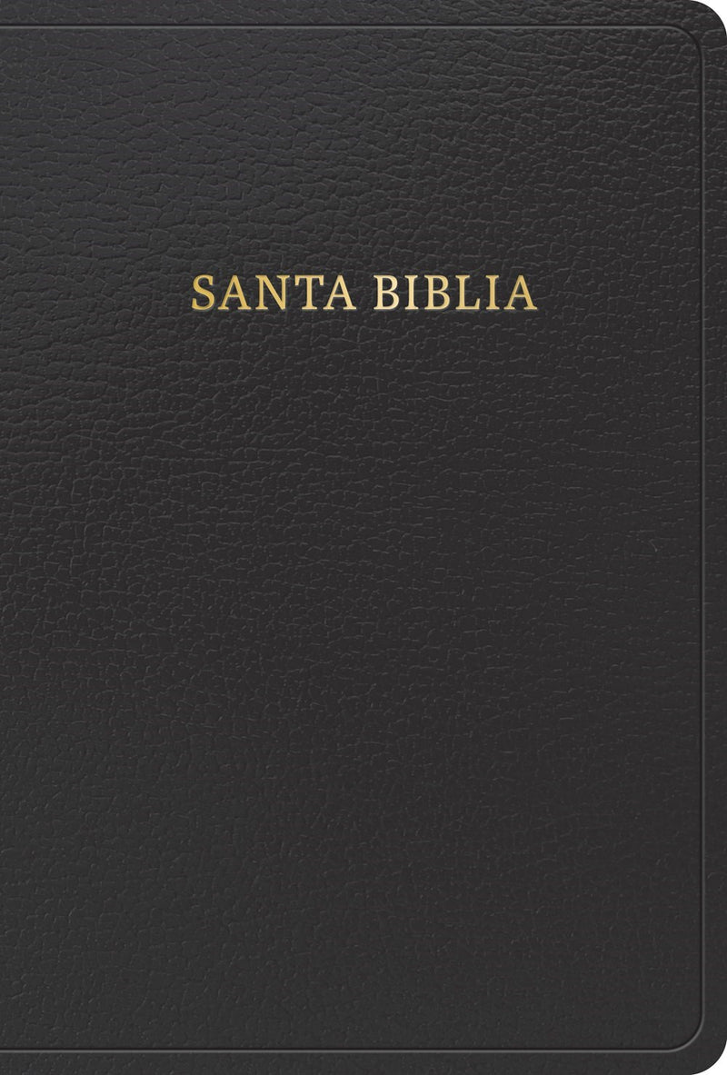 Span-RVR 1960 Hand Size Giant Print Bible (Biblia letra grande tamano manual)-Black Imitation Leather