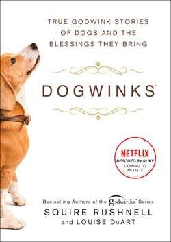 DogWinks