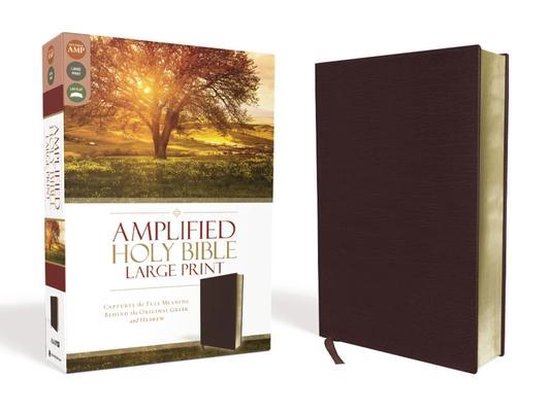 Amplified Holy Bible/Large Print (Revised)-Burgundy Bonded Leather