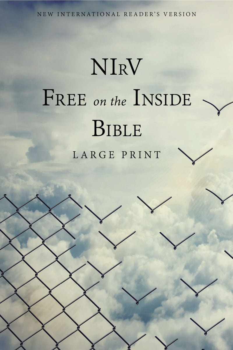 NIrV Free On the Inside Large Print Bible-Softcover 