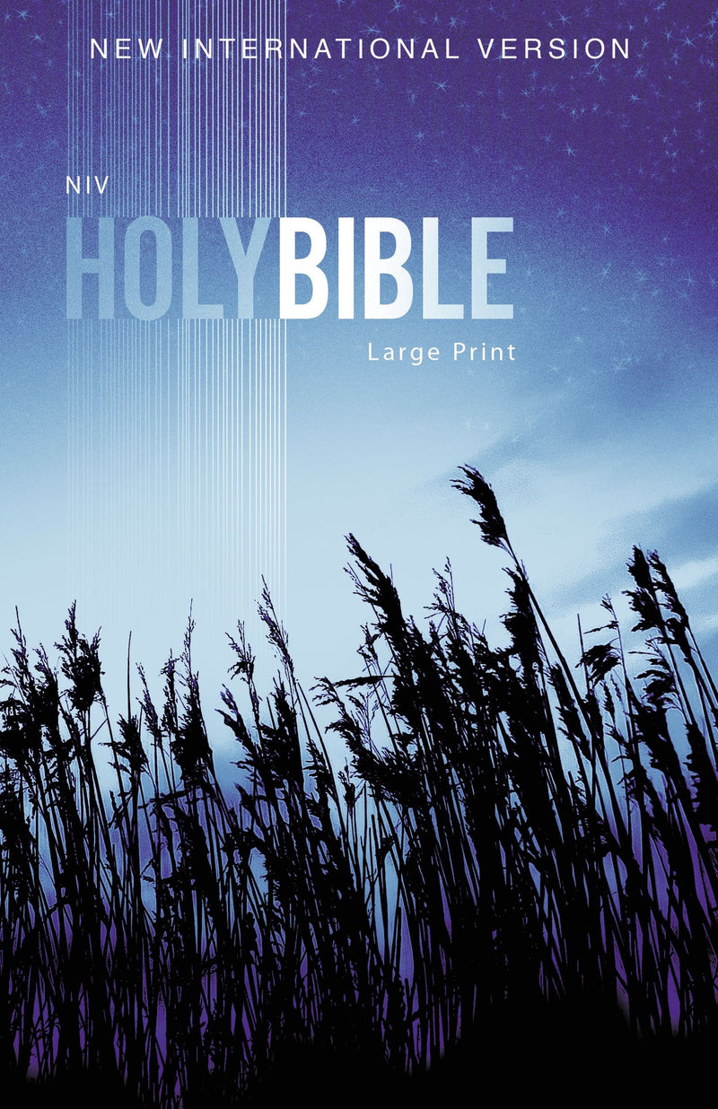 NIV Outreach Bible/Large Print-Blue Wheat Softcover