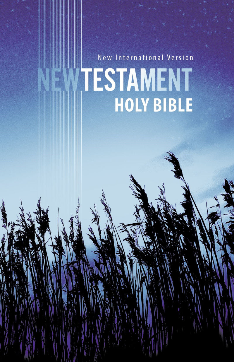 NIV Outreach New Testament-Blue Wheat Softcover