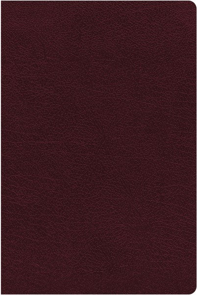 NIV Thinline Reference Bible/Large Print (Comfort Print)-Burgundy Bonded Leather Indexed