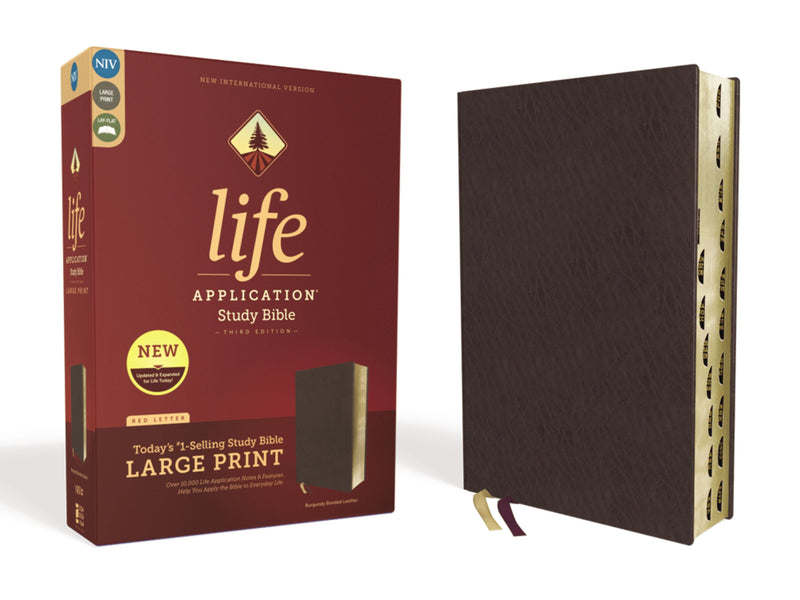 NIV Life Application Study Bible/Large Print (Third Edition)-Burgundy Bonded Leather Indexed