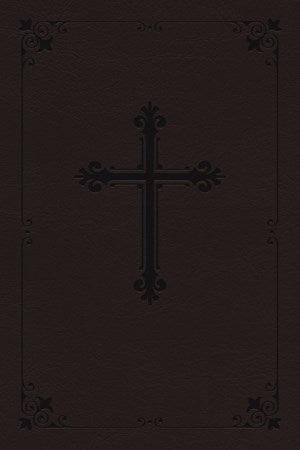 NIV Compact Bible-Brown LeatherSoft