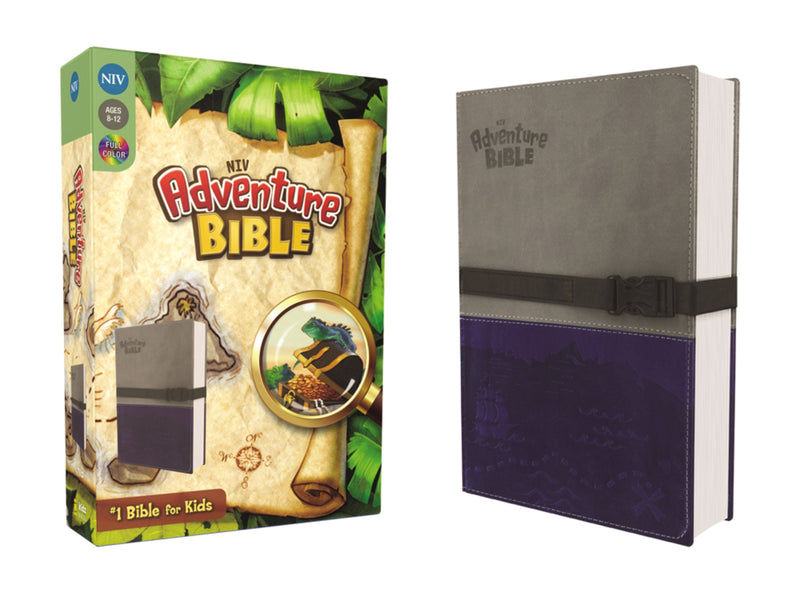 NIV Adventure Bible (Full Color)-Gray/Blue Duo-Tone