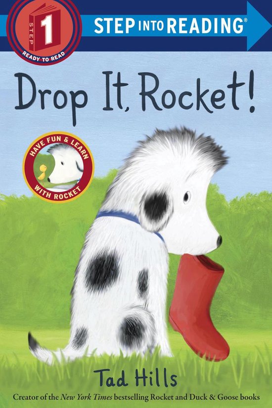 Drop It, Rocket!