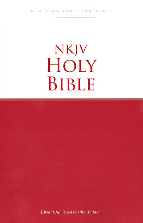 Ecomomy Bible - Red SC