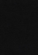 Vines expository bible black