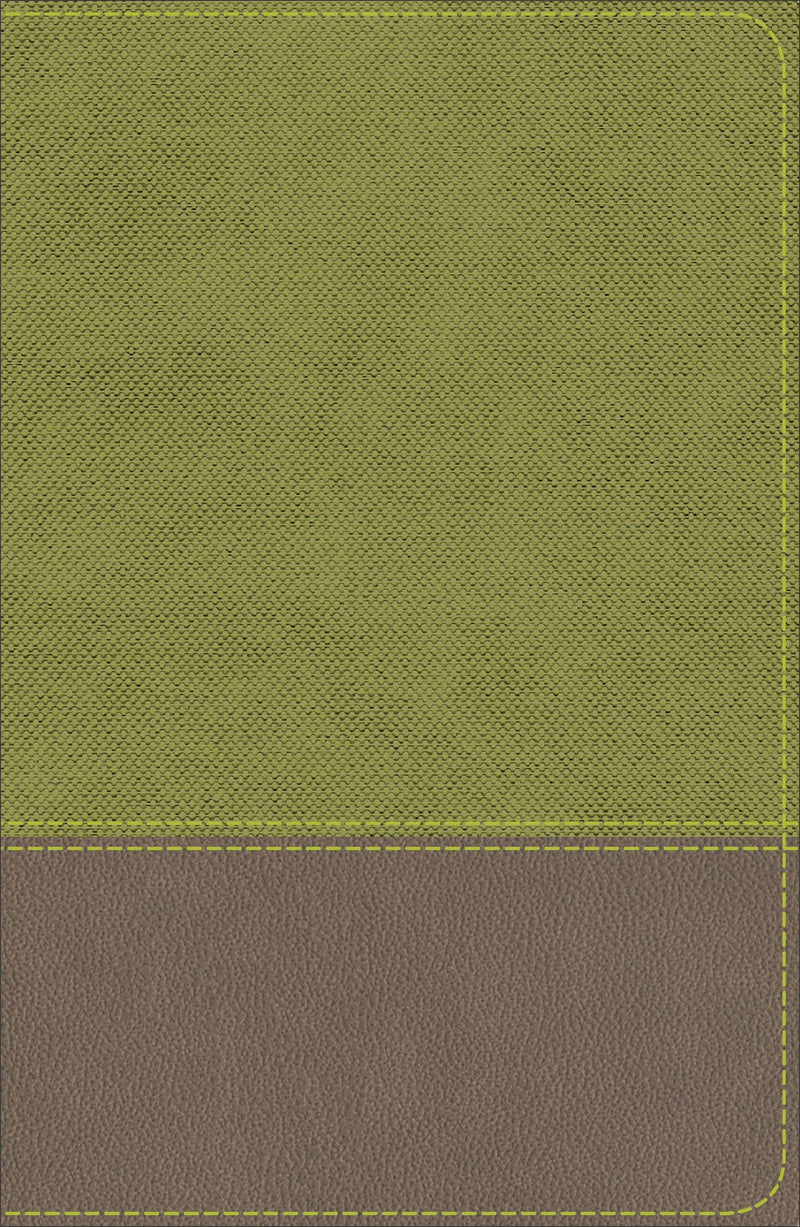 KJV Study Bible For Boys-Olive/Brown LeatherTouch