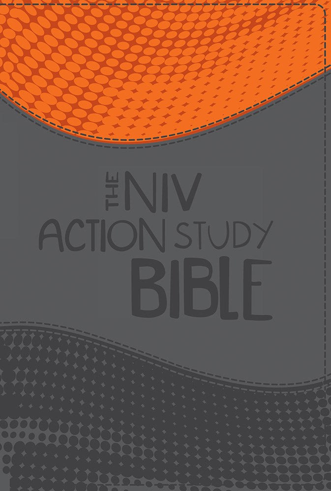 NIV The Action Study Bible (Premium Edition)-Imitation Leather (