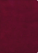 CSB Holy Land Illustrated Bible-Burgundy LeatherTouch Indexed