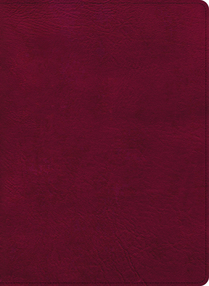 CSB Holy Land Illustrated Bible-Burgundy LeatherTouch Indexed