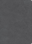 CSB He Reads Truth Bible-Smoke LeatherTouch