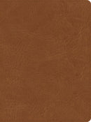 CSB He Reads Truth Bible-Saddle LeatherTouch