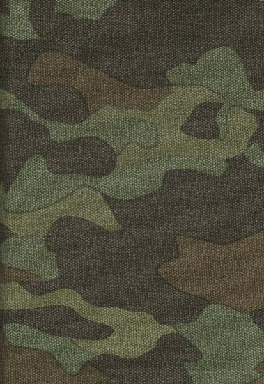 Camo Bible - Zip - Green