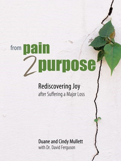 From Pain 2 Purpose