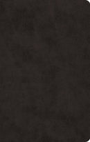 ESV Large Print Value Thinline Bible-Black TruTone
