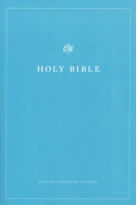 Economy Bible - blue